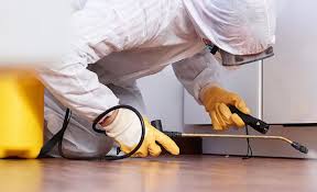 Emergency Pest Control Services in Hayesville, OR